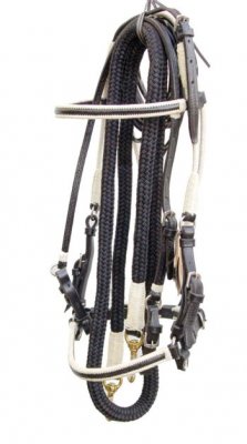 Paso Fino Headgear