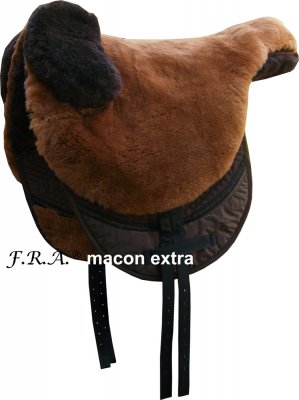 Pferd